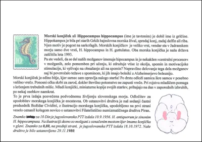 SLOVENSKO MORJE
